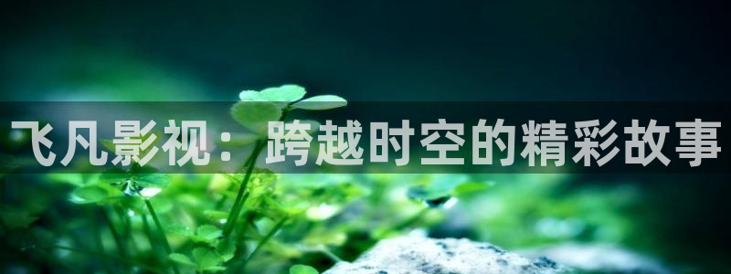 《四库影视》电视剧在线观看-好看影院