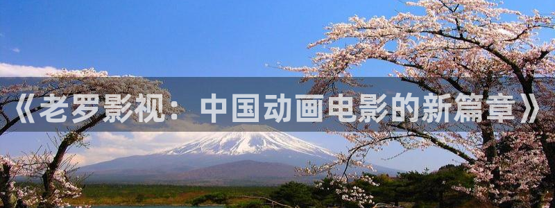 好看影院在线观看：《老罗影视：中国动画电影的新篇章》