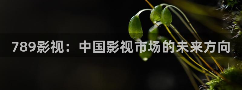 四虎好看影院