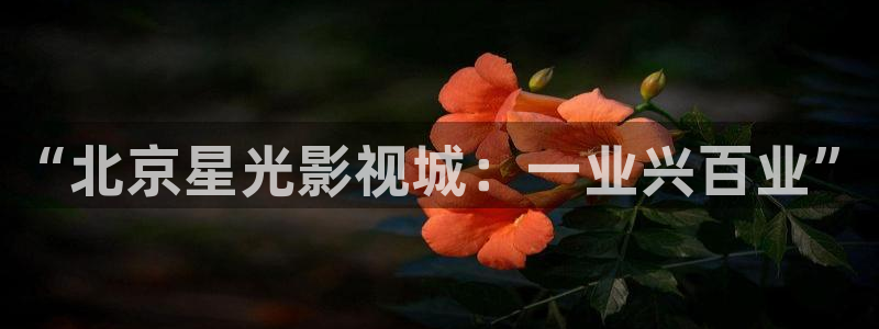 好好看影院：“北京星光影视城：一业兴百业”