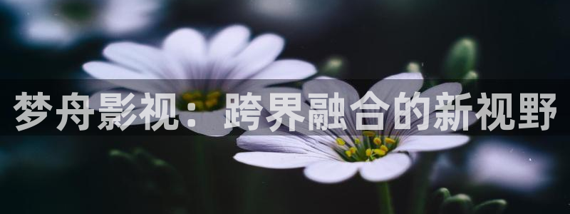 好看影院在线观看电影